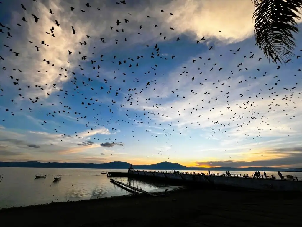 Recovery of Lake Chapala Exceeds Expectations